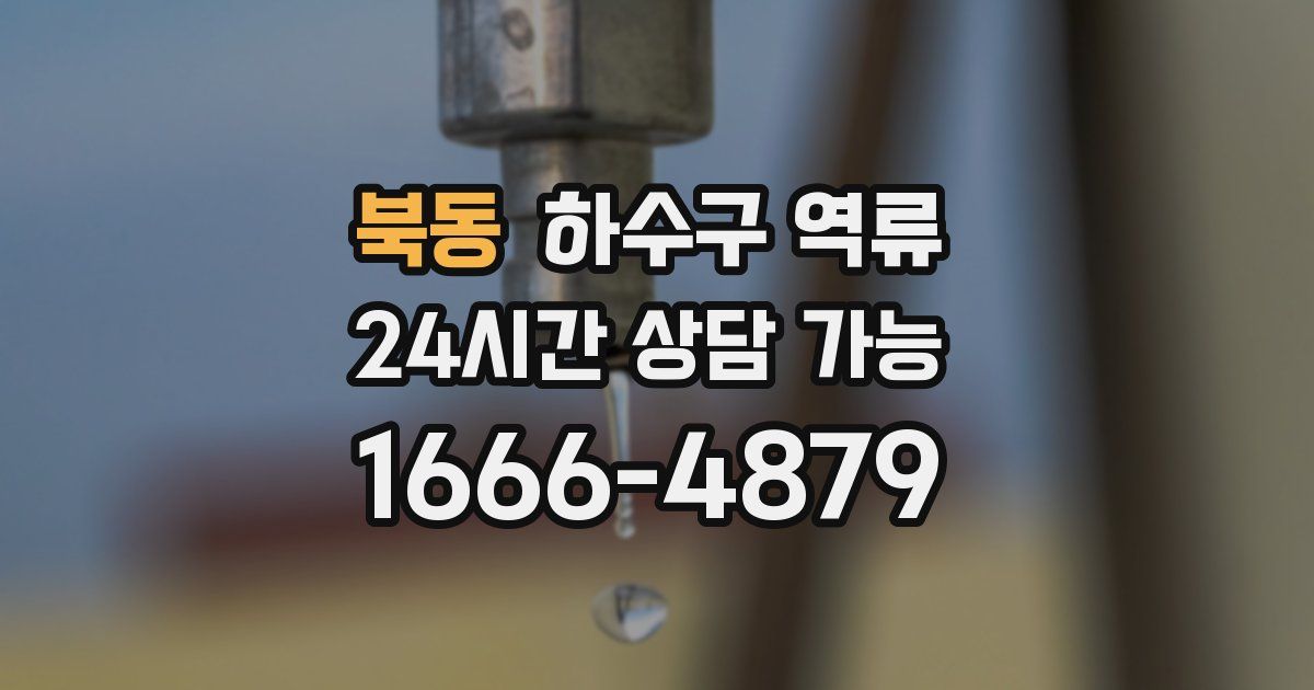 북동 하수구 역류