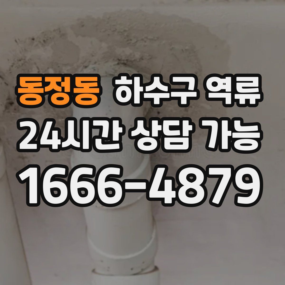 동정동 하수구 역류