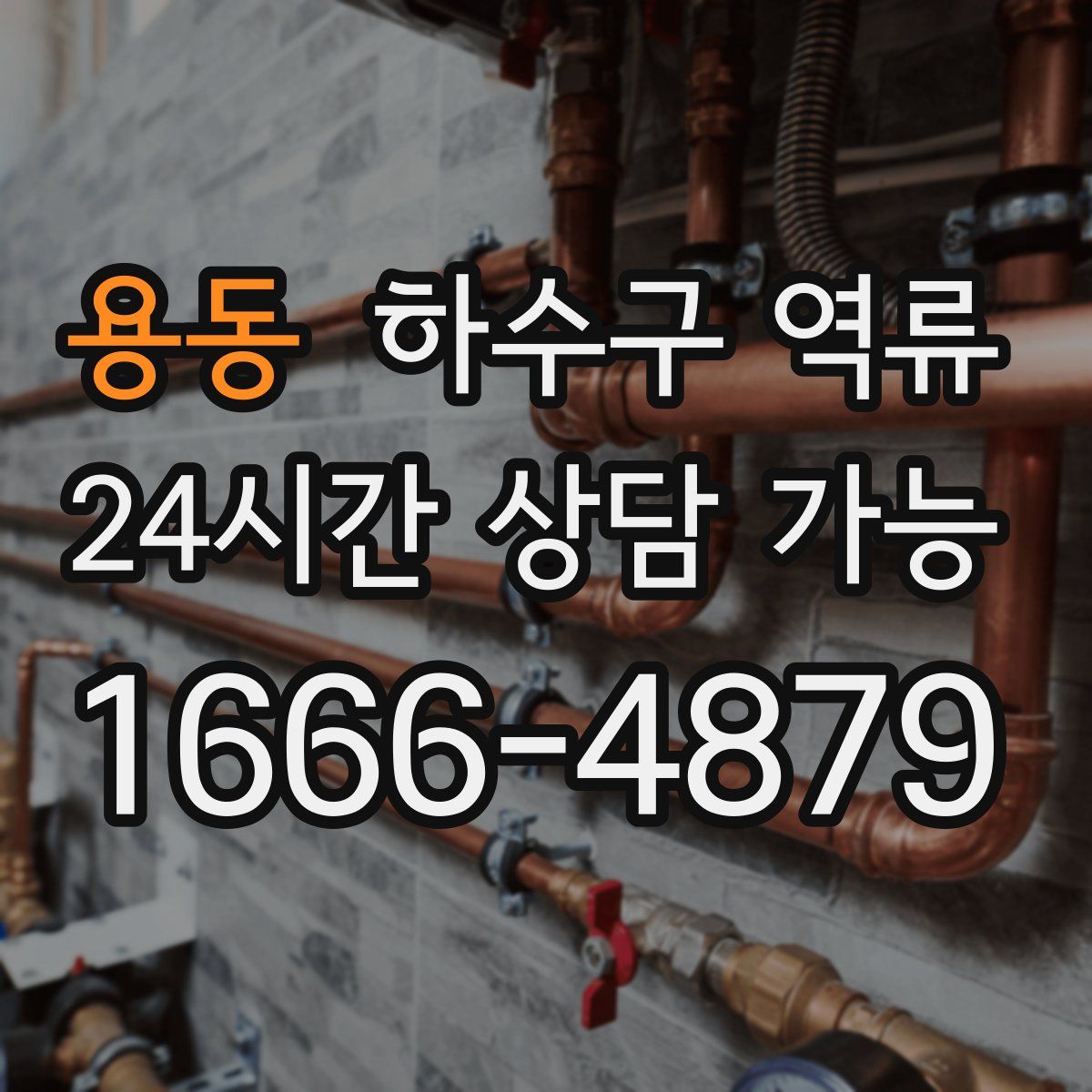 용동 하수구 역류