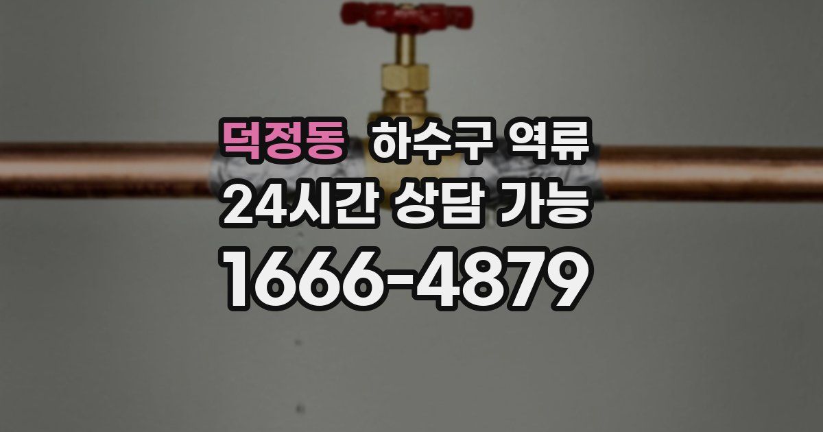 덕정동 하수구 역류