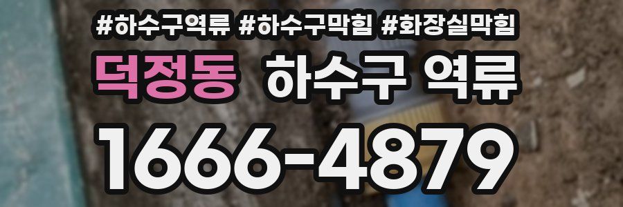 덕정동 하수구 역류