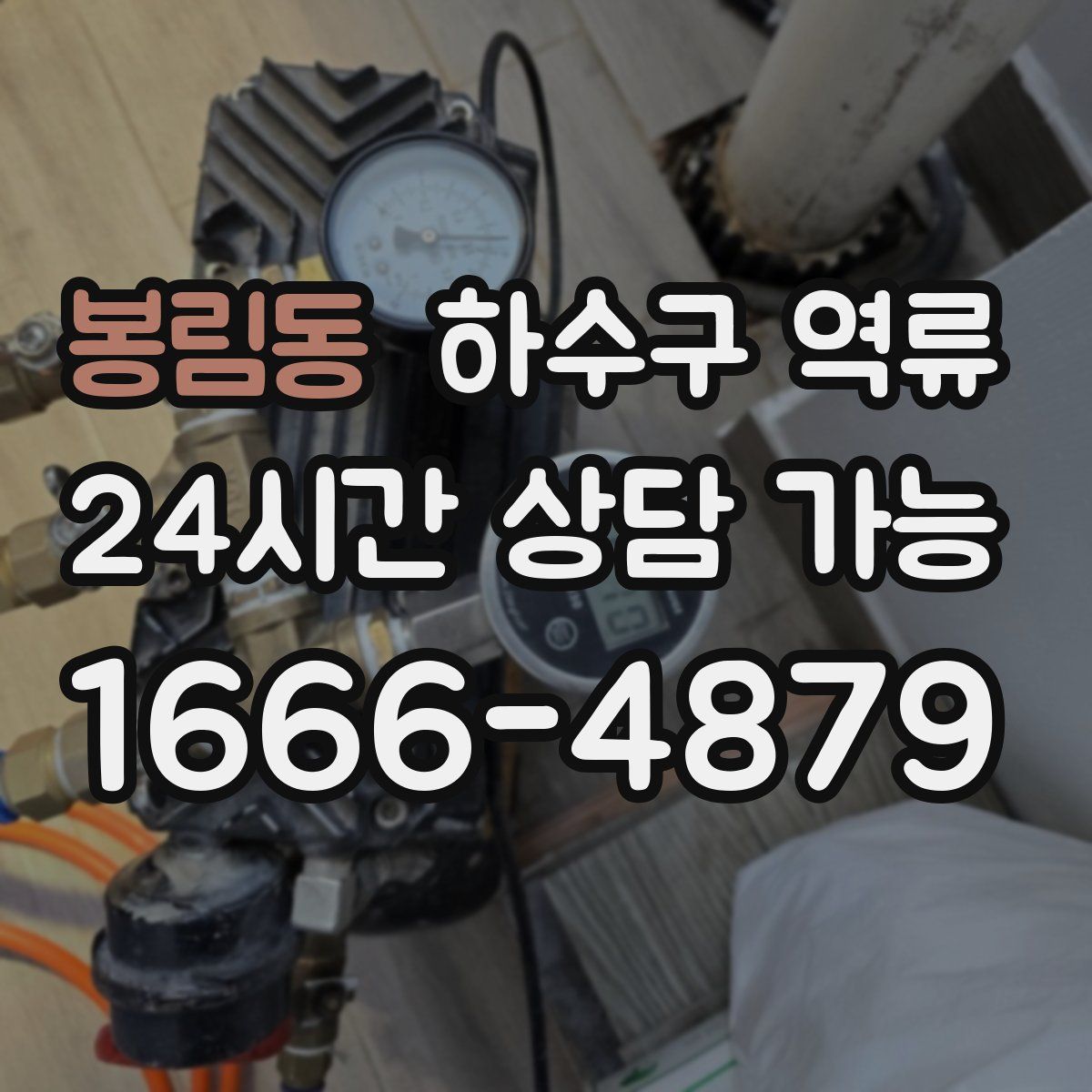 봉림동 하수구 역류