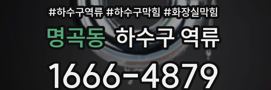 명곡동 하수구 역류