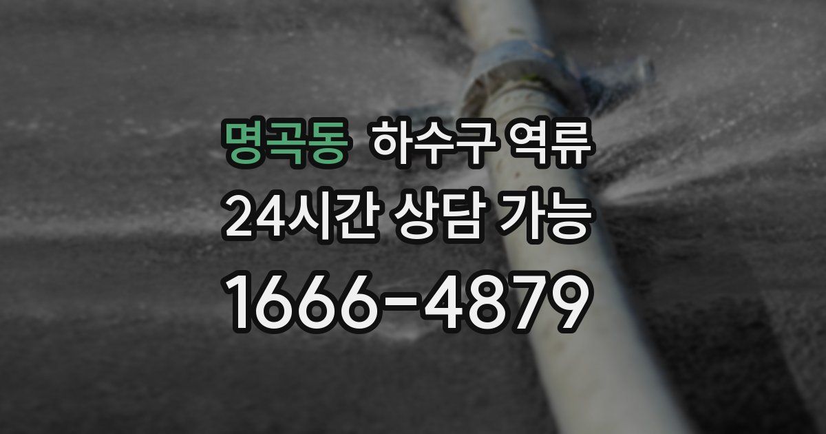 명곡동 하수구 역류