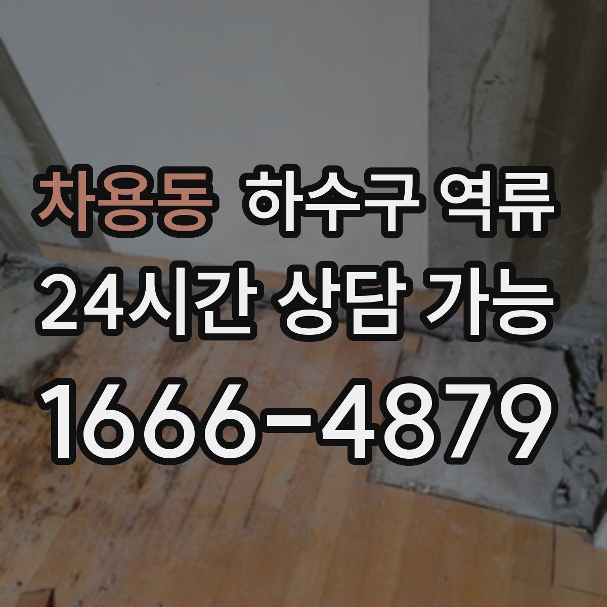 차용동 하수구 역류