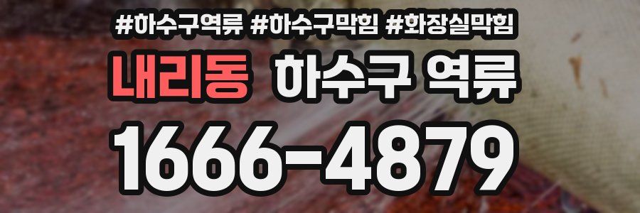 내리동 하수구 역류