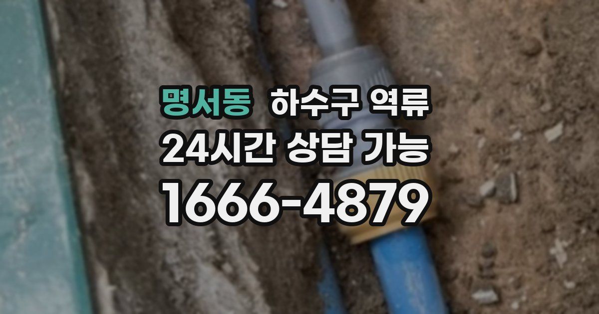 명서동 하수구 역류