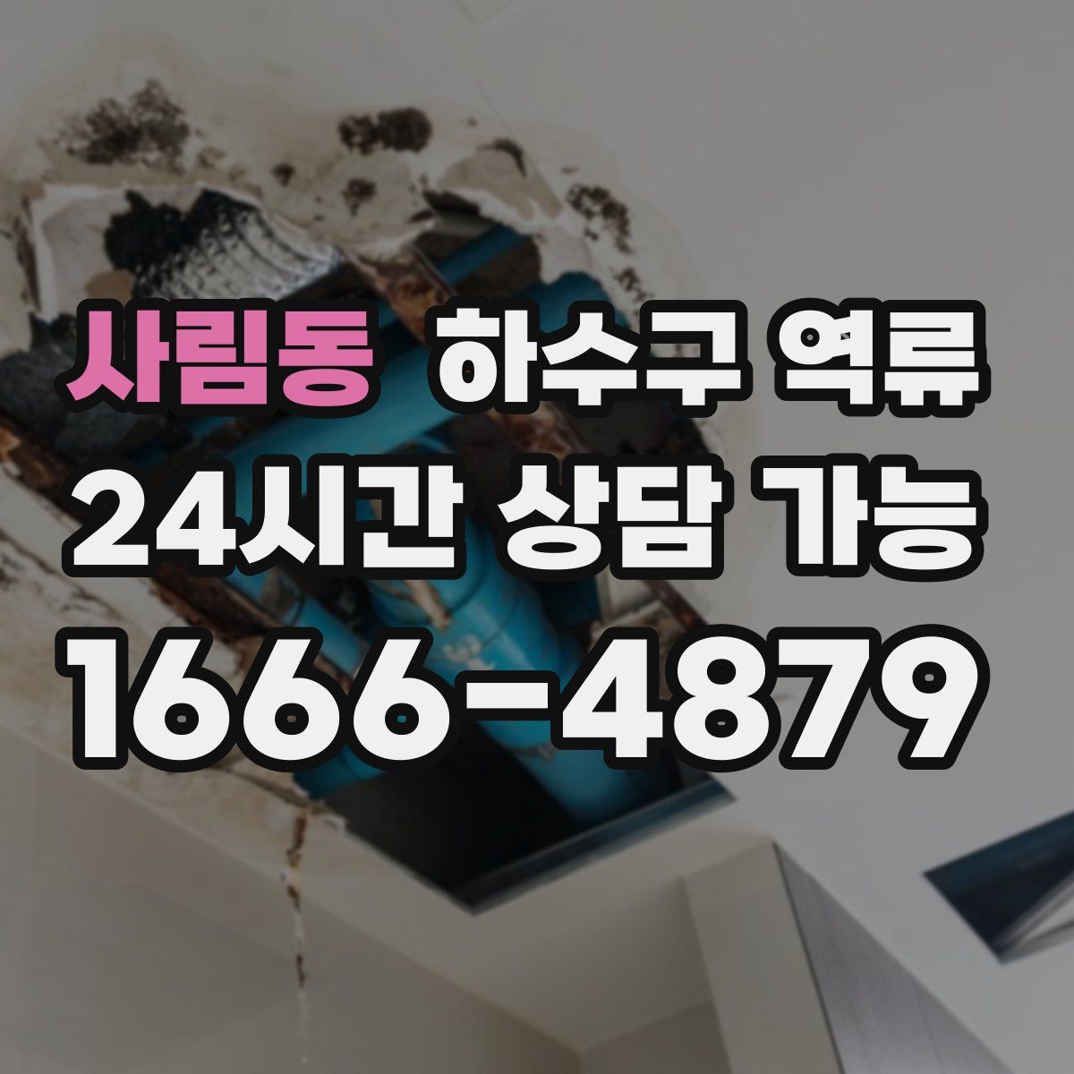 사림동 하수구 역류