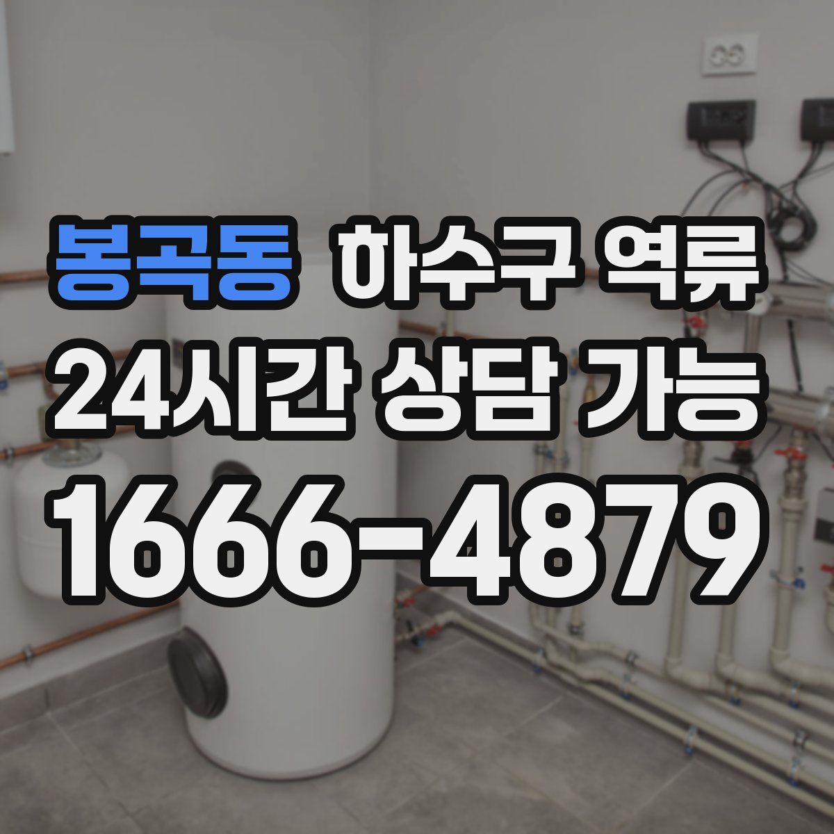 봉곡동 하수구 역류