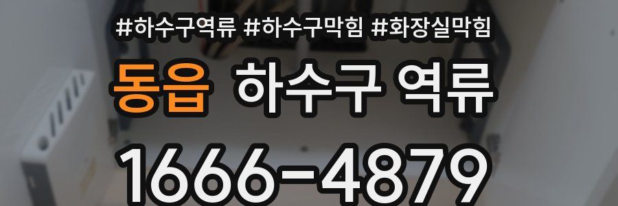 동읍 하수구 역류