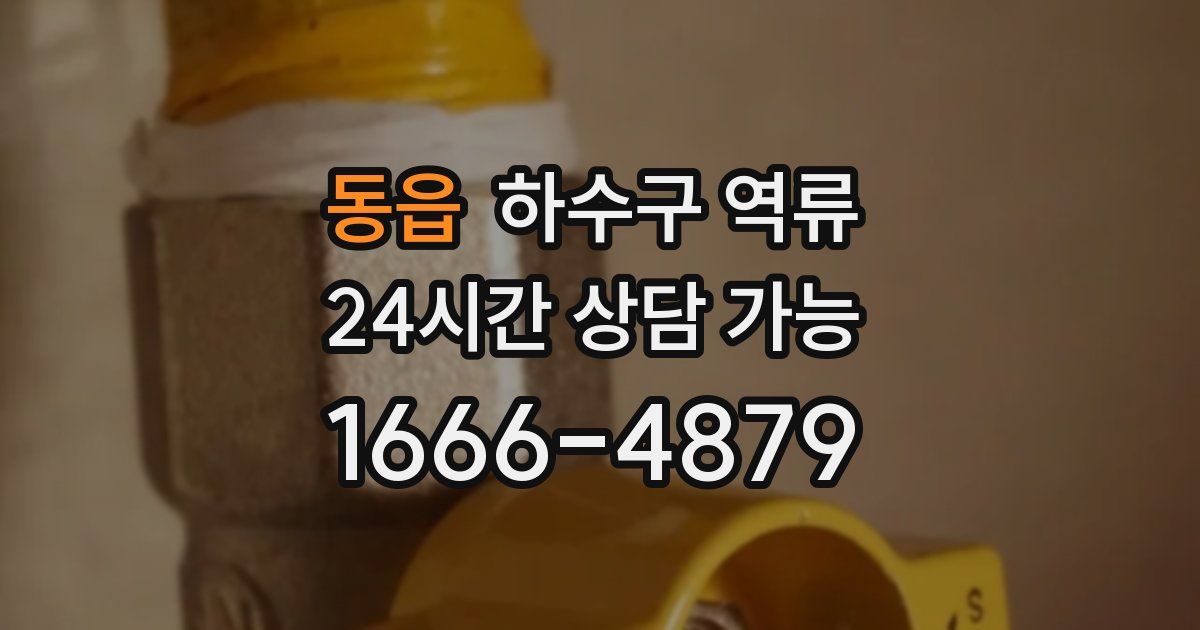 동읍 하수구 역류