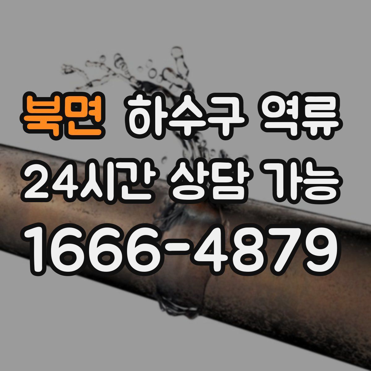북면 하수구 역류