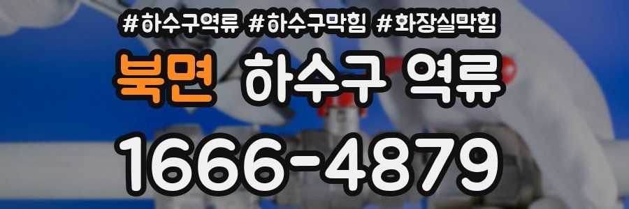 북면 하수구 역류