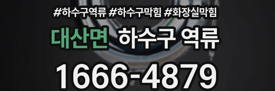 대산면 하수구 역류