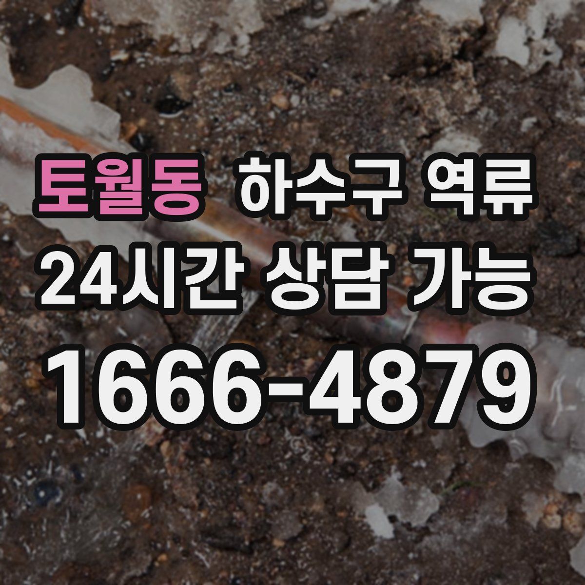 토월동 하수구 역류