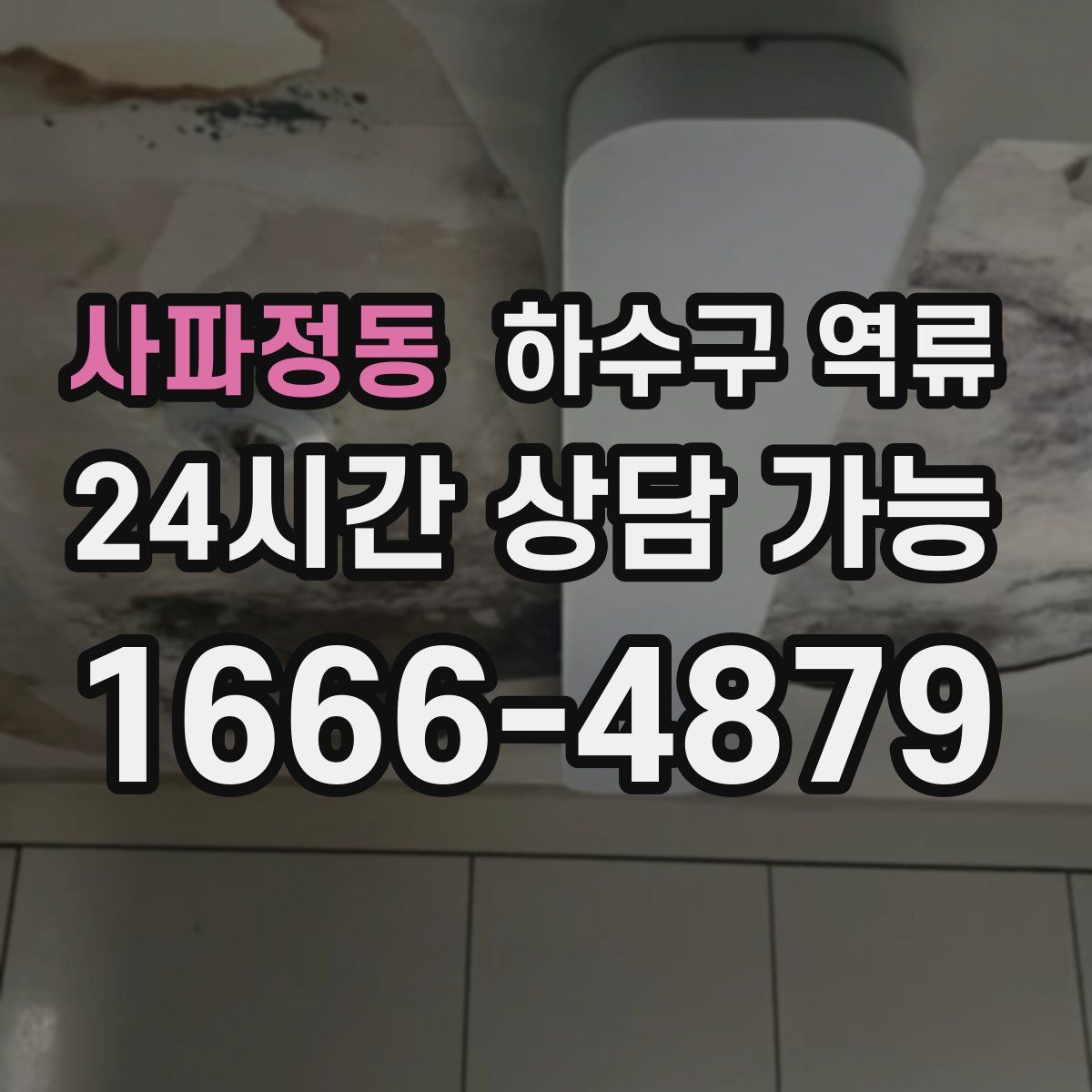 사파정동 하수구 역류