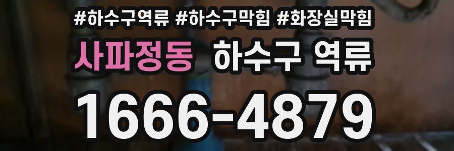 사파정동 하수구 역류