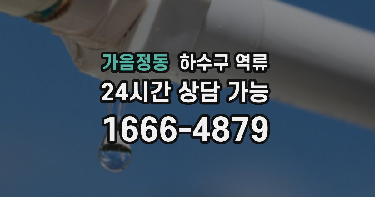 가음정동 하수구 역류