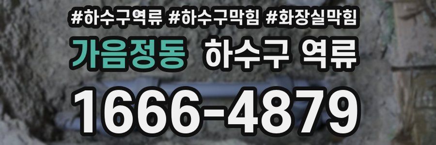 가음정동 하수구 역류