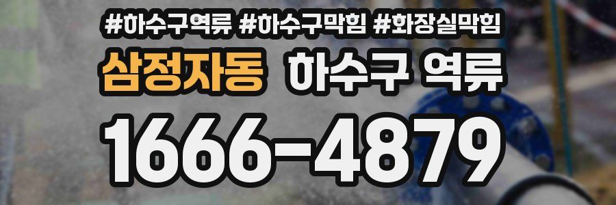 삼정자동 하수구 역류