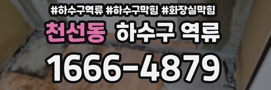 천선동 하수구 역류