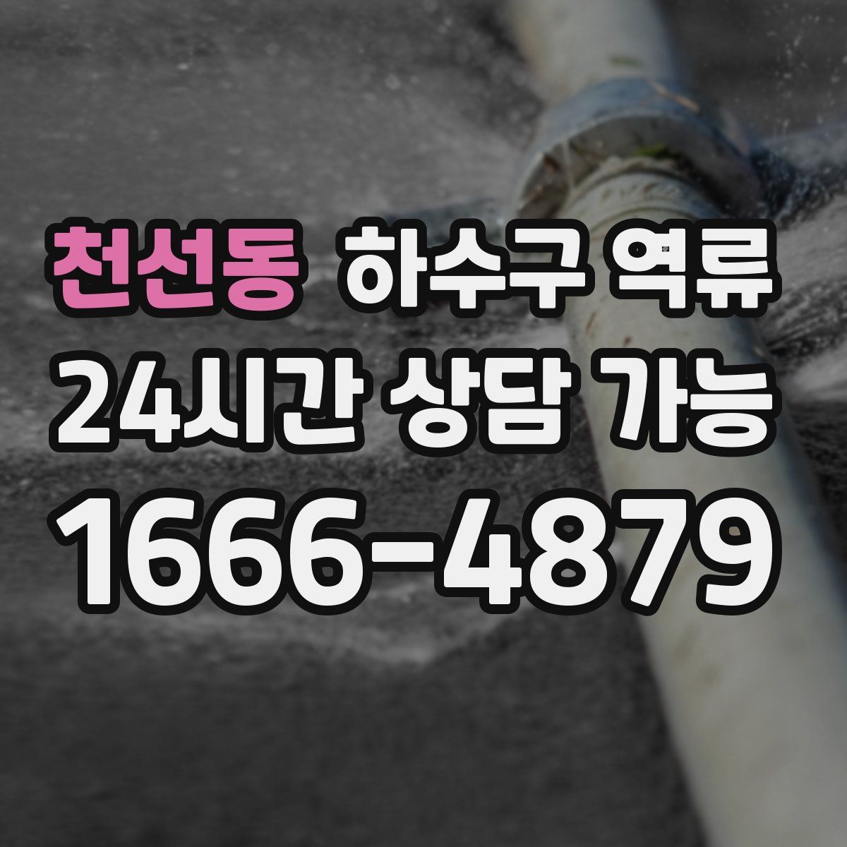 천선동 하수구 역류