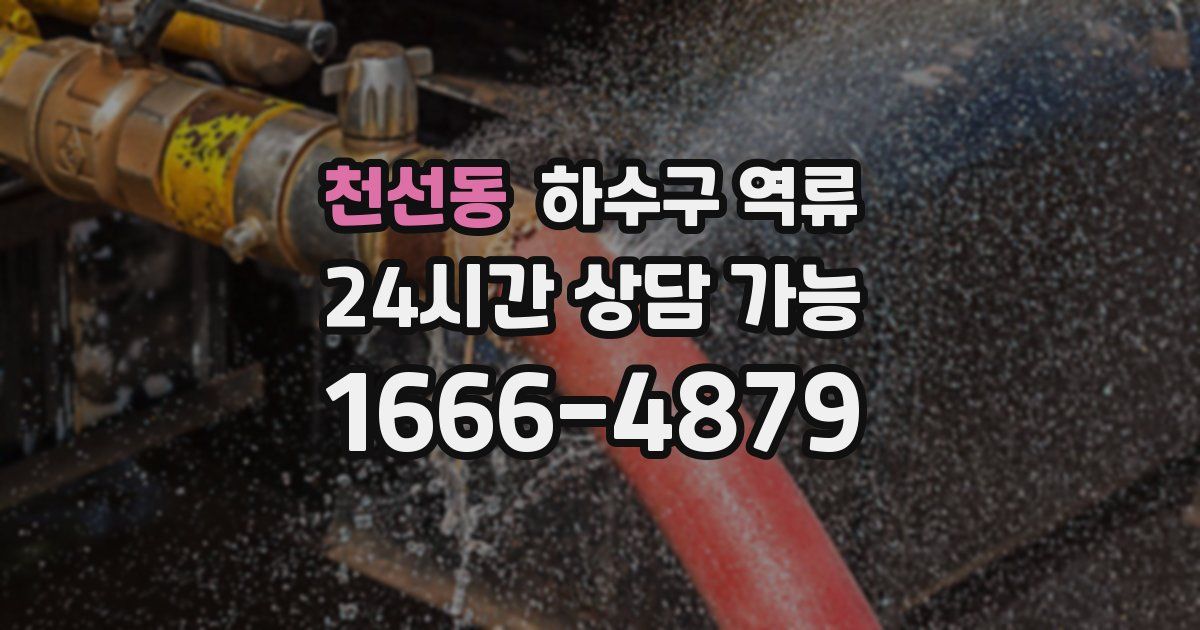 천선동 하수구 역류