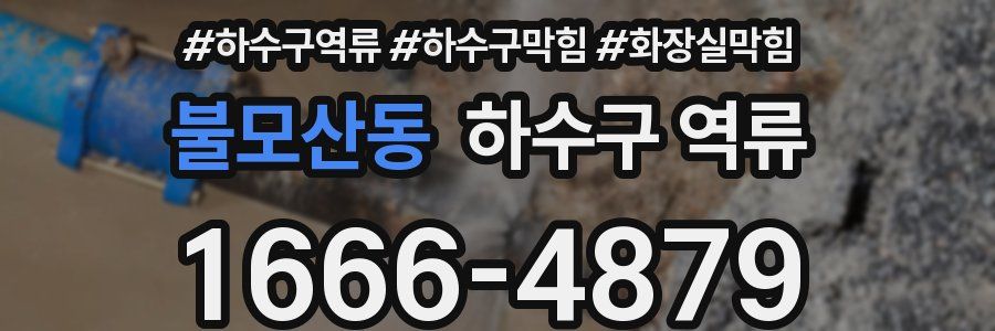 불모산동 하수구 역류
