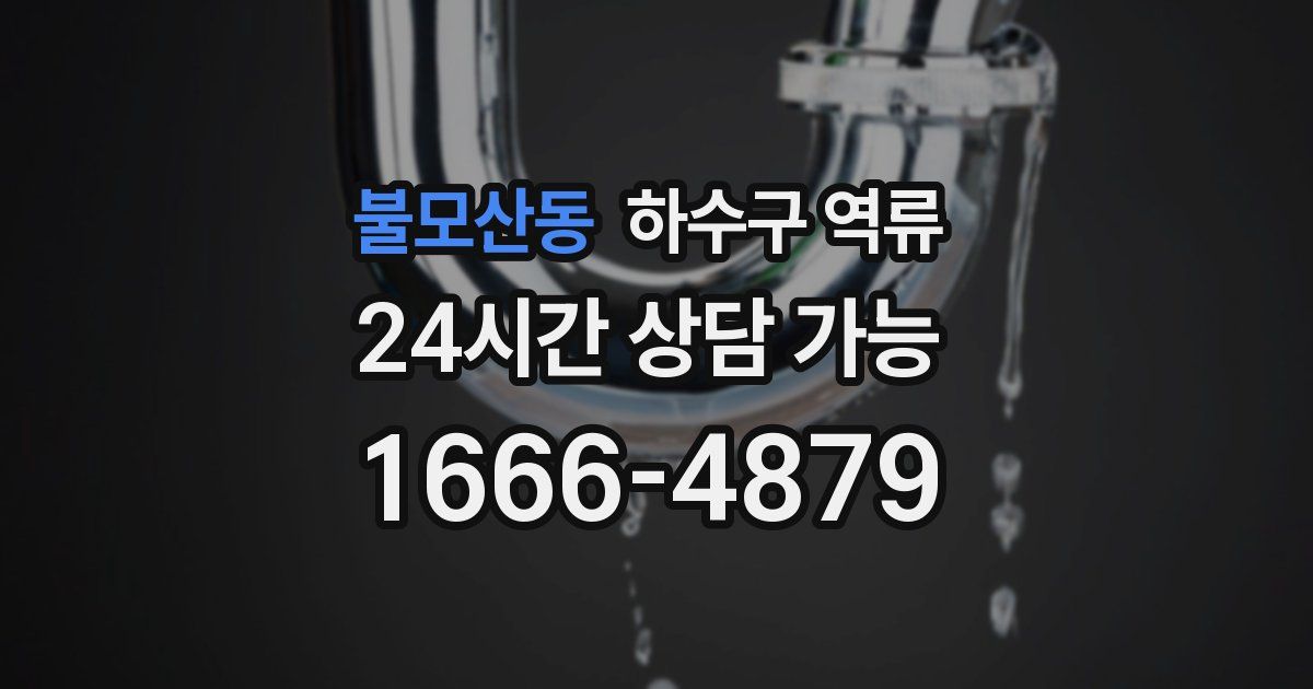 불모산동 하수구 역류
