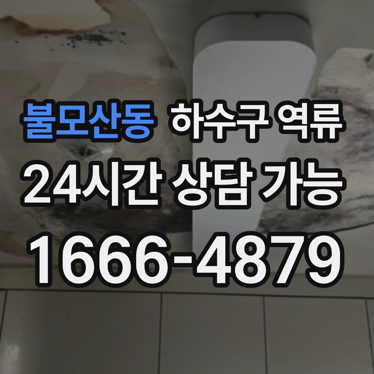 불모산동 하수구 역류