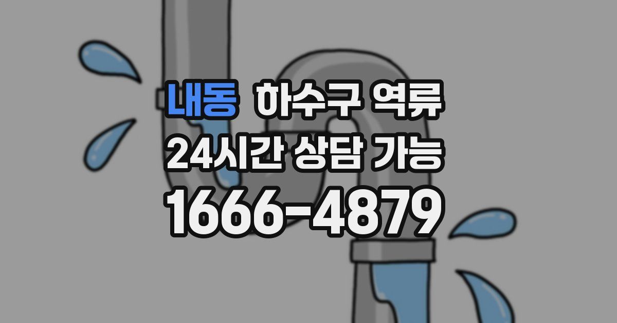 내동 하수구 역류