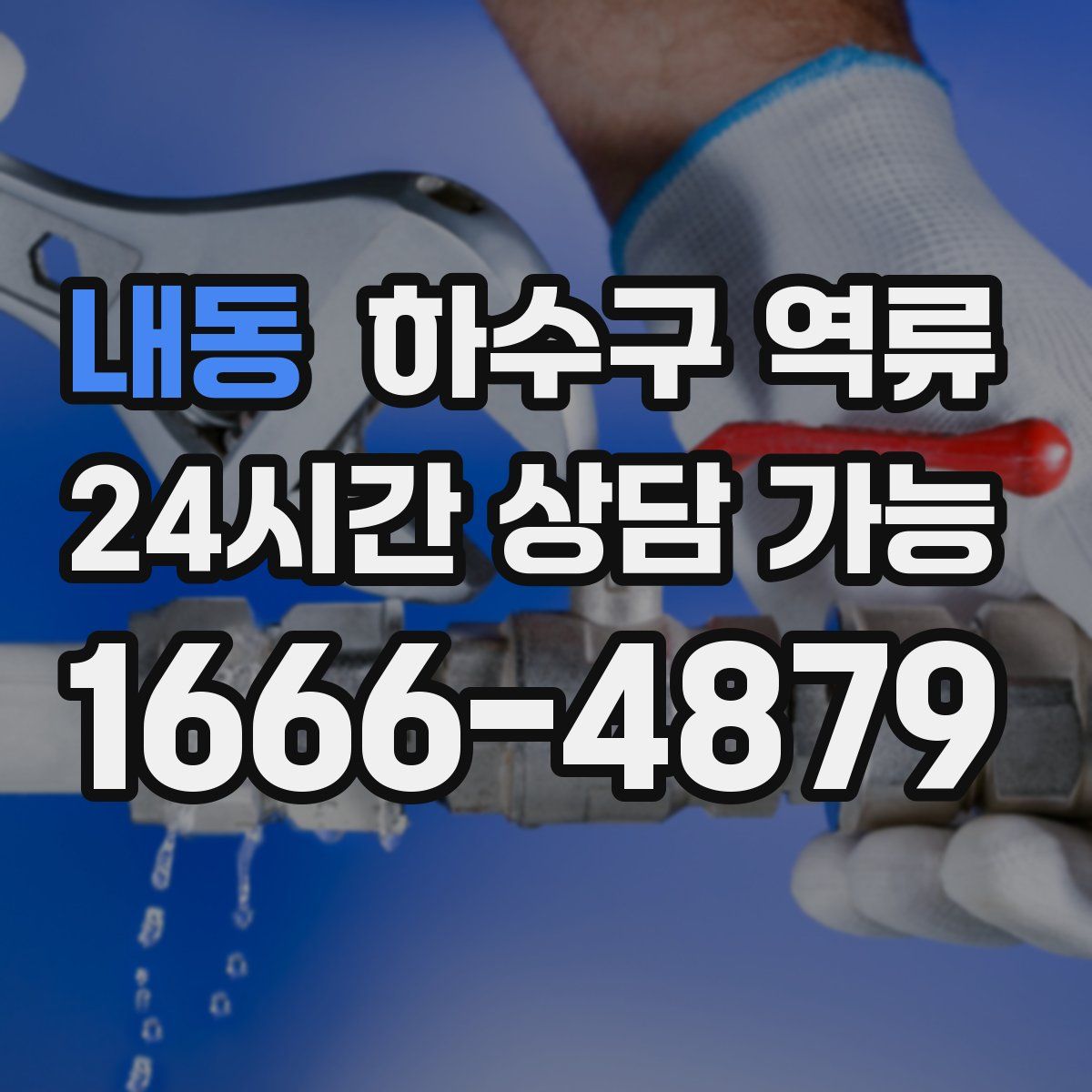 내동 하수구 역류