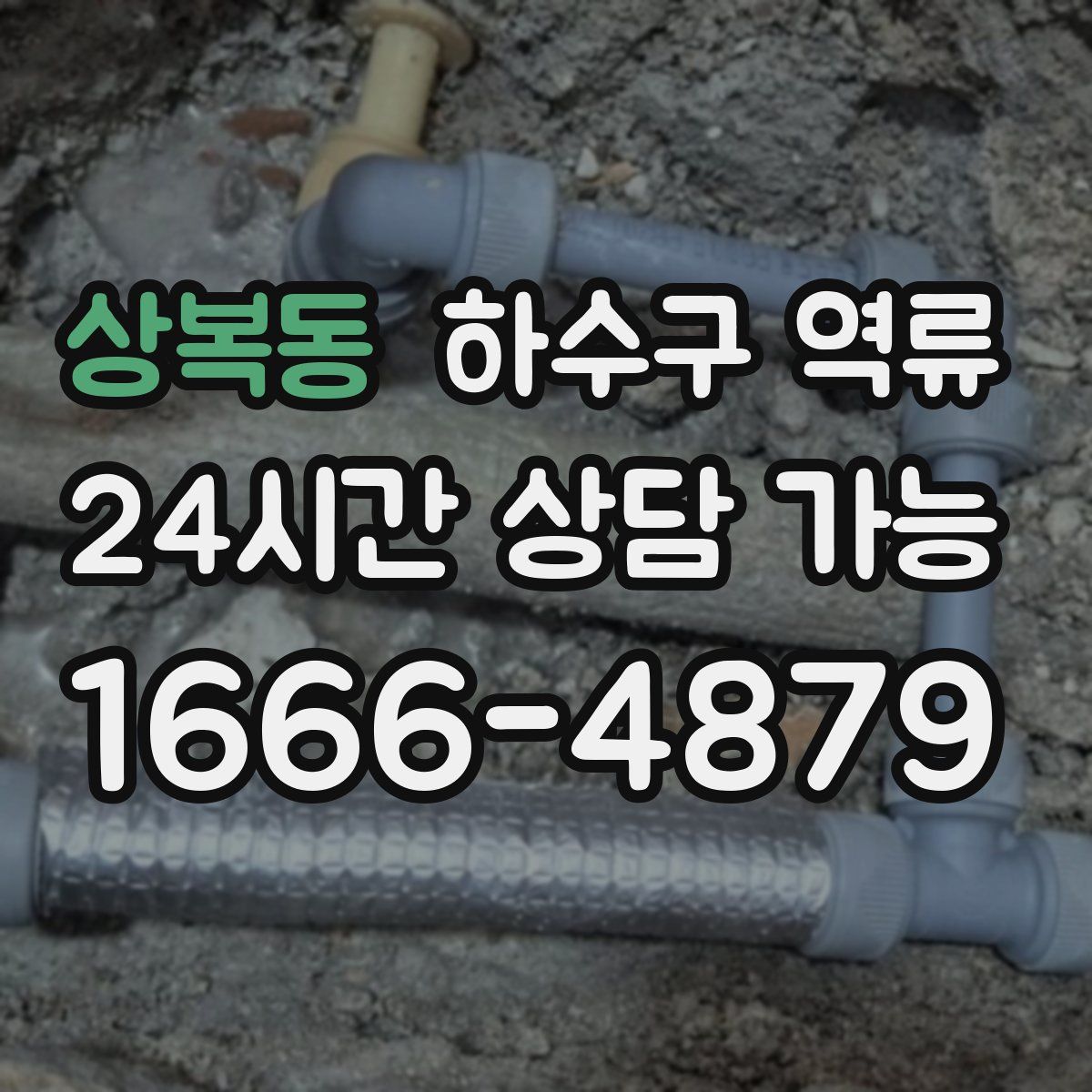 상복동 하수구 역류