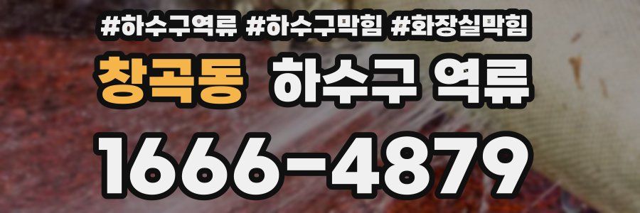 창곡동 하수구 역류