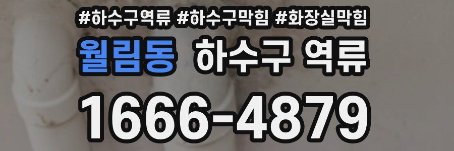 월림동 하수구 역류