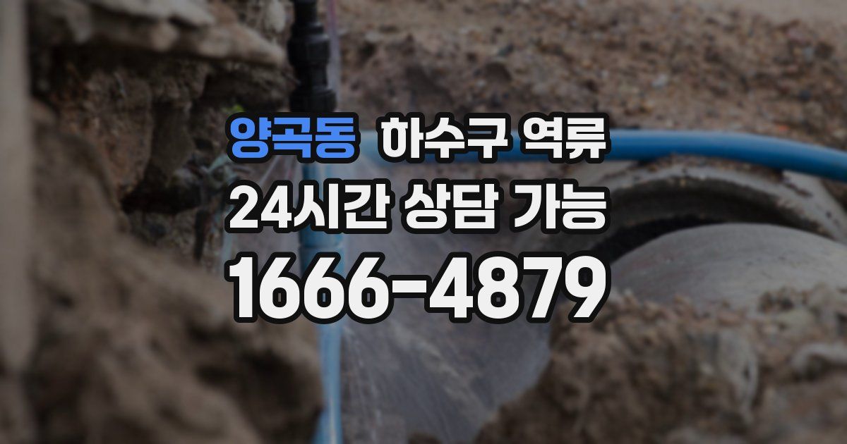 양곡동 하수구 역류
