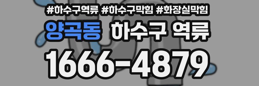 양곡동 하수구 역류