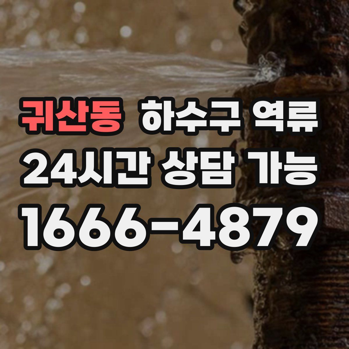 귀산동 하수구 역류