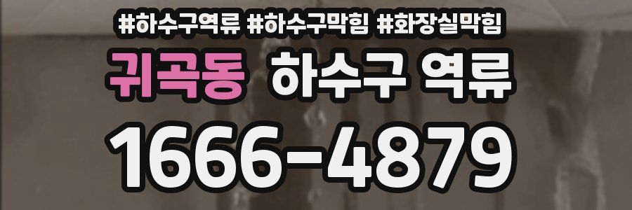 귀곡동 하수구 역류