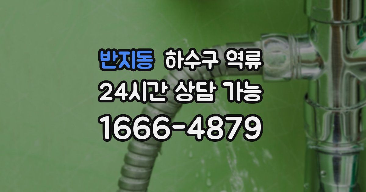 반지동 하수구 역류