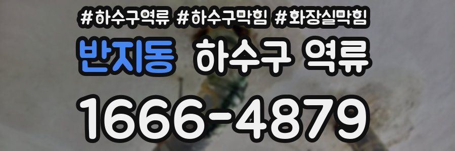 반지동 하수구 역류