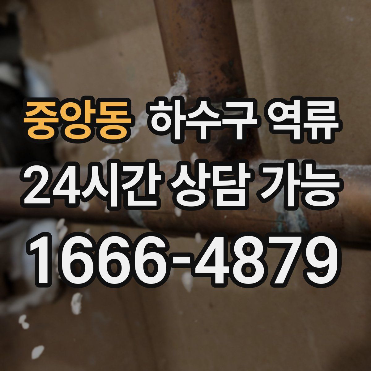 중앙동 하수구 역류