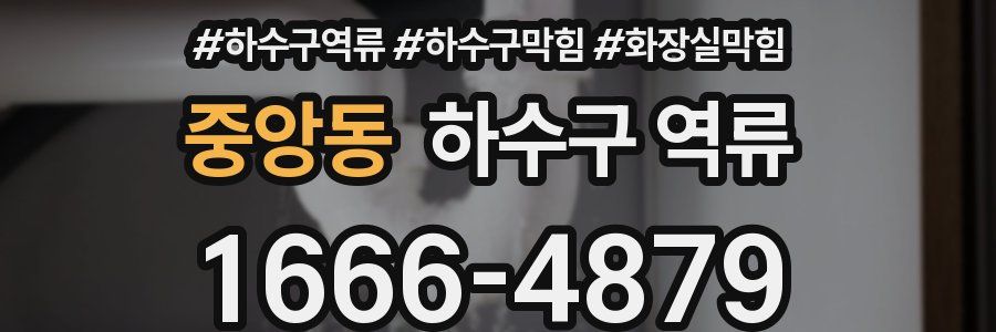 중앙동 하수구 역류