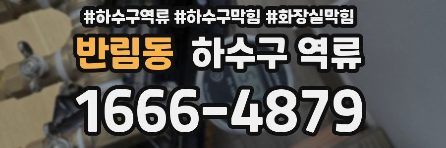 반림동 하수구 역류