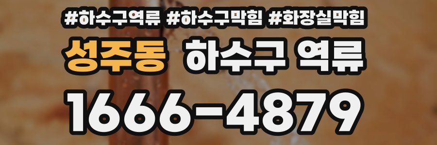 성주동 하수구 역류