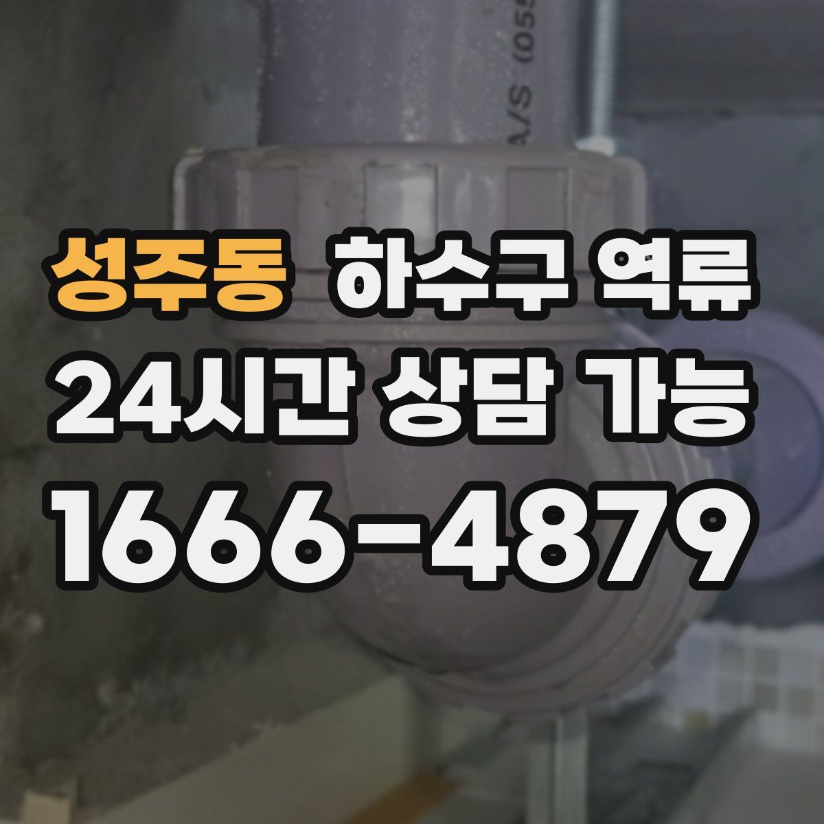 성주동 하수구 역류