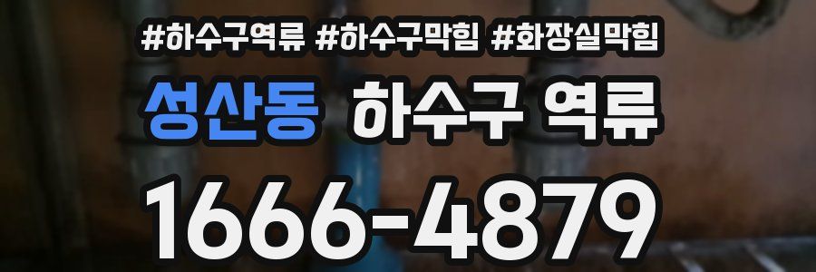 성산동 하수구 역류