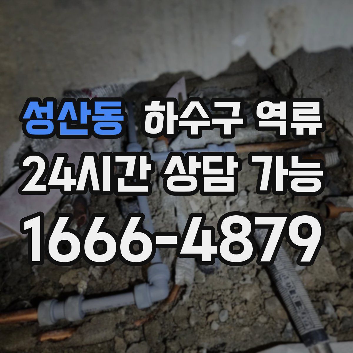 성산동 하수구 역류