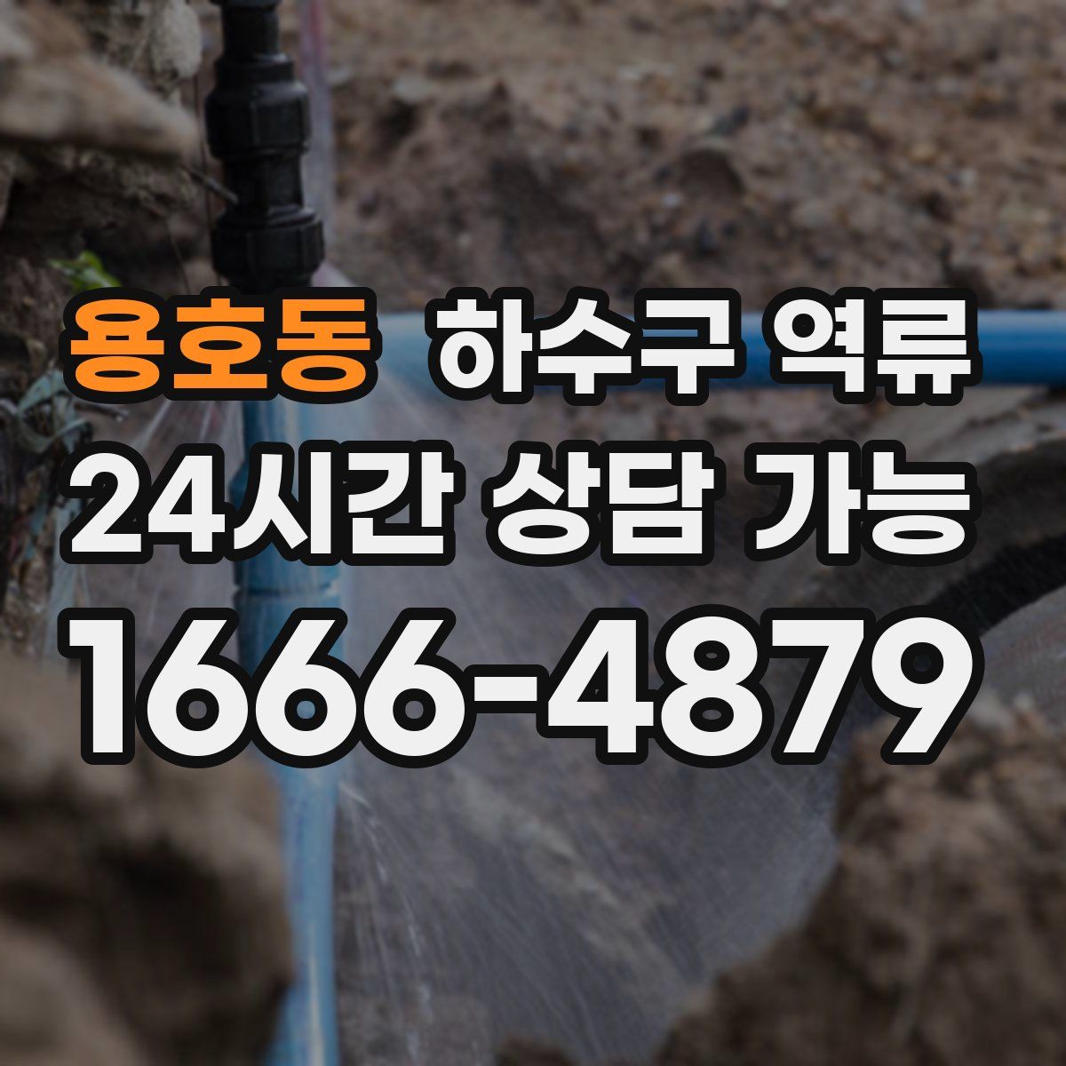 용호동 하수구 역류