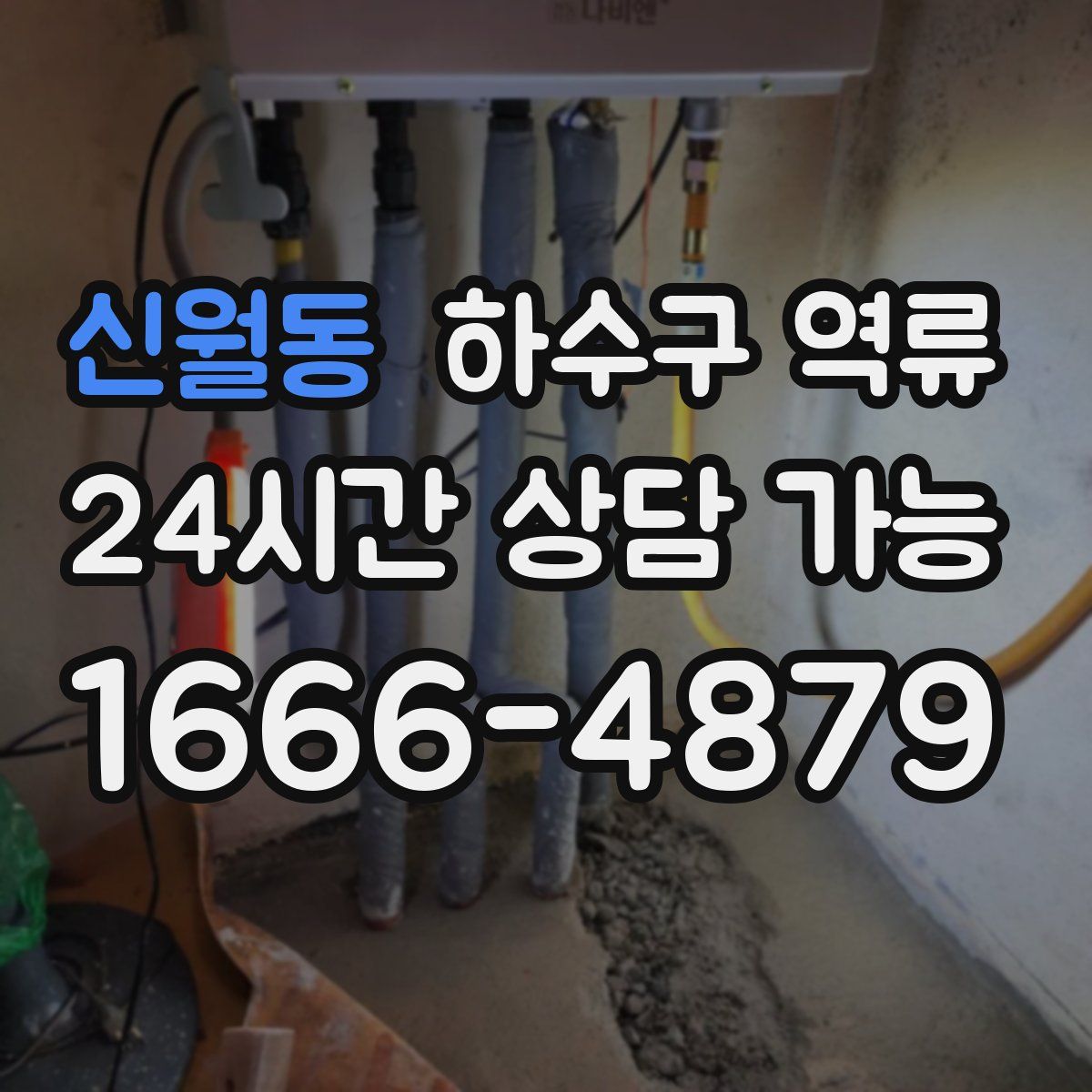 신월동 하수구 역류